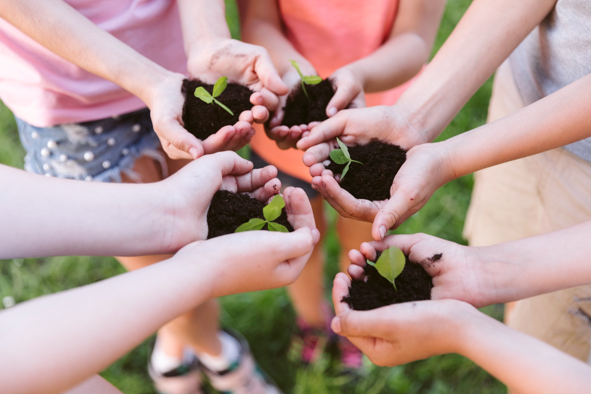 high-angle-kids-getting-ready-plant-clover (1)